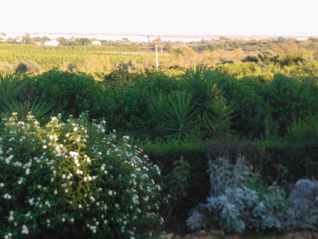 Quinta Da Moura Casa-De-Campo Pensjonat Tavira Zewnętrze zdjęcie