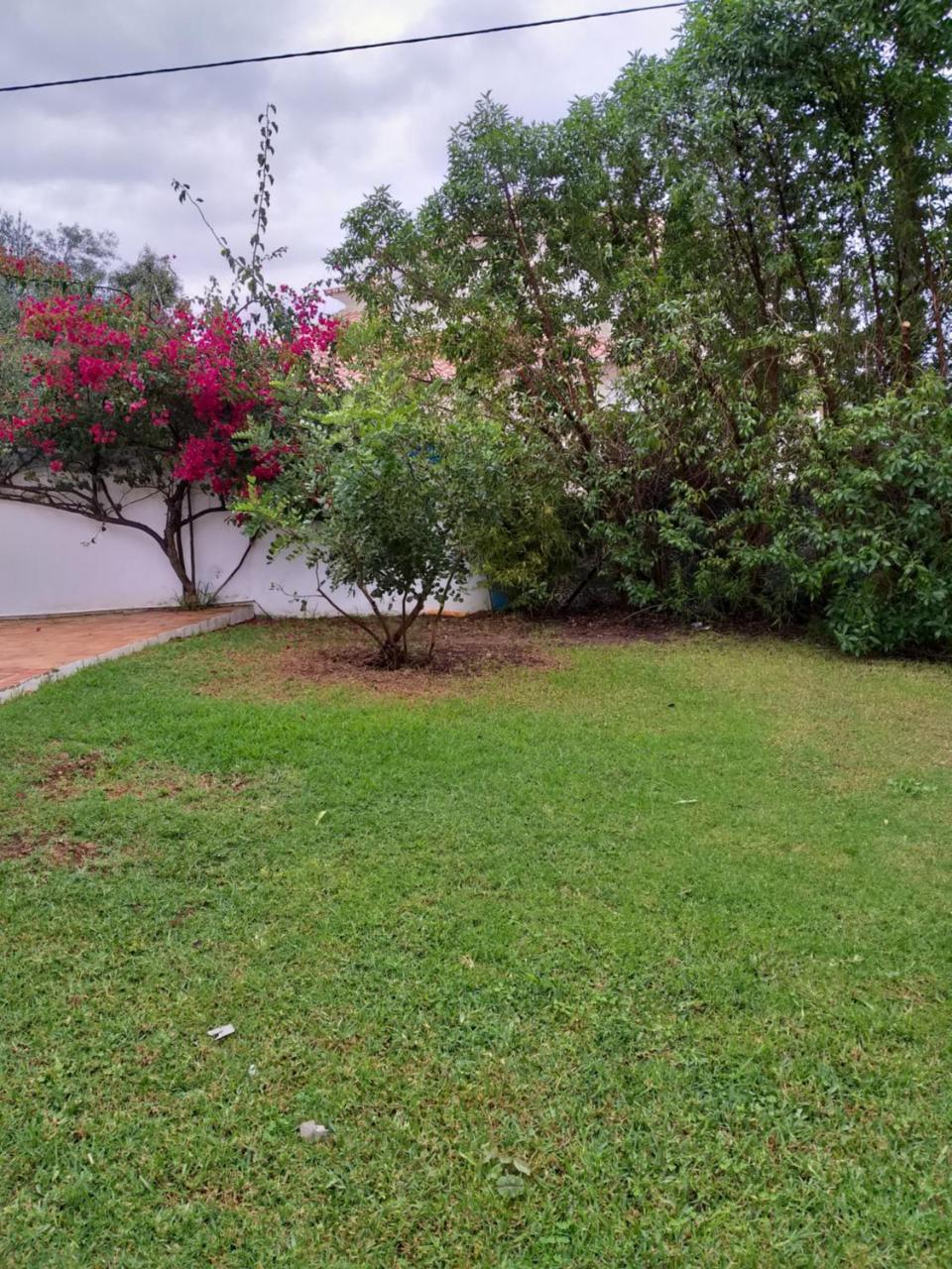 Quinta Da Moura Casa-De-Campo Pensjonat Tavira Zewnętrze zdjęcie