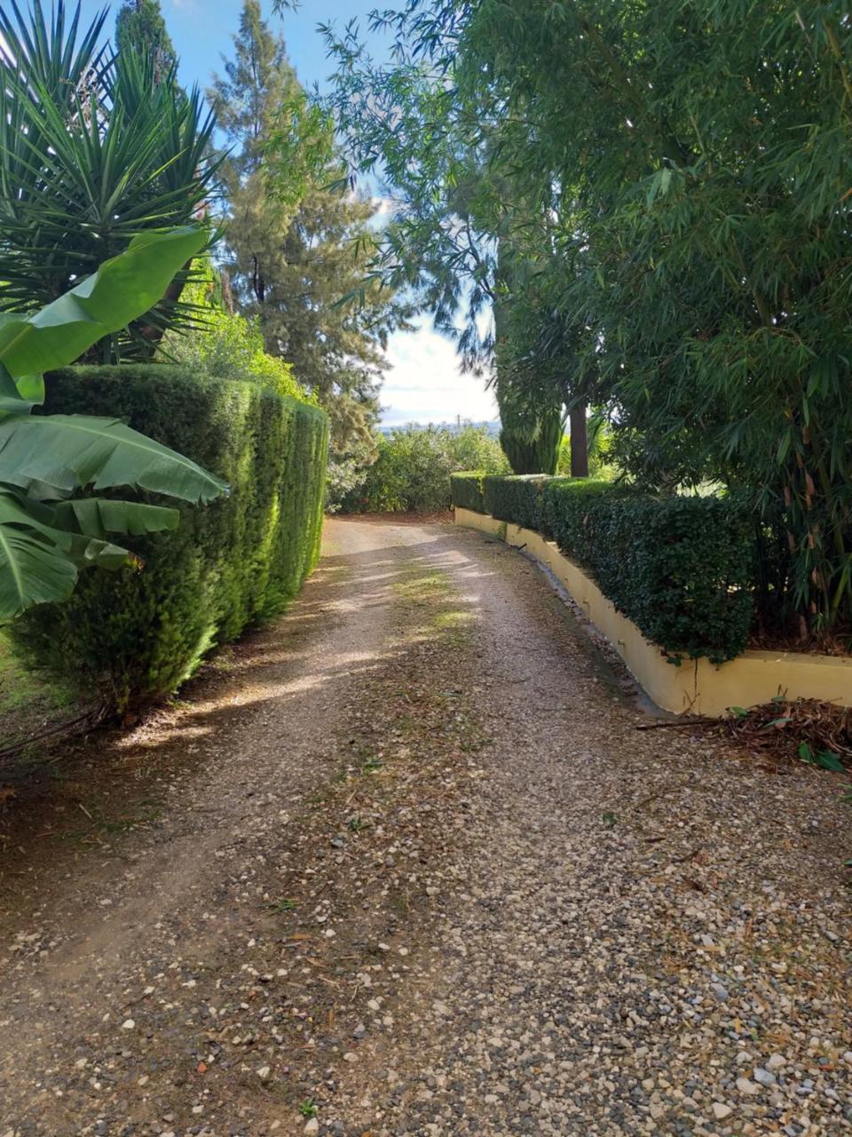 Quinta Da Moura Casa-De-Campo Pensjonat Tavira Zewnętrze zdjęcie