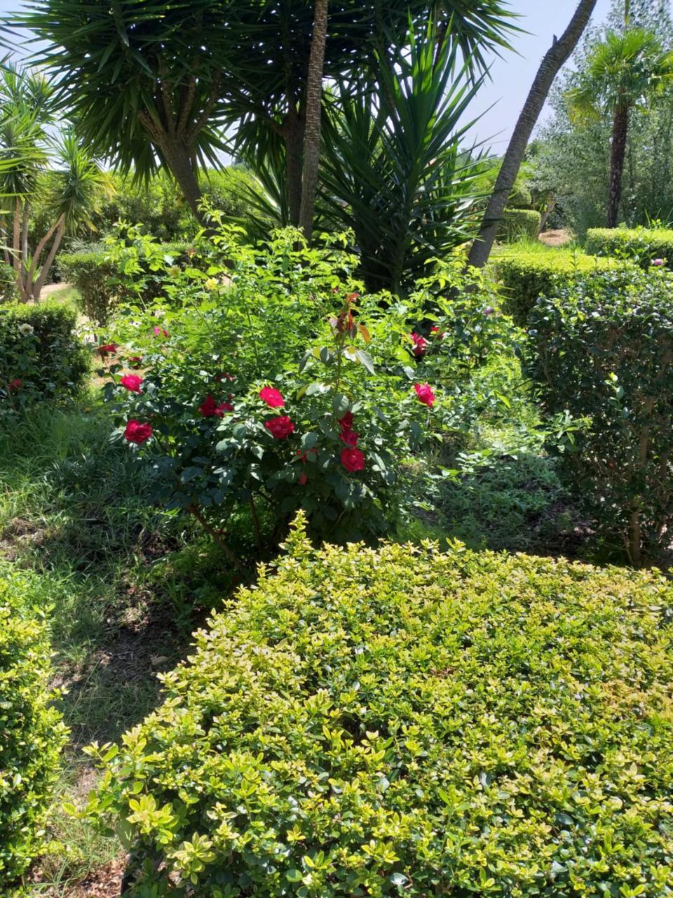 Quinta Da Moura Casa-De-Campo Pensjonat Tavira Zewnętrze zdjęcie