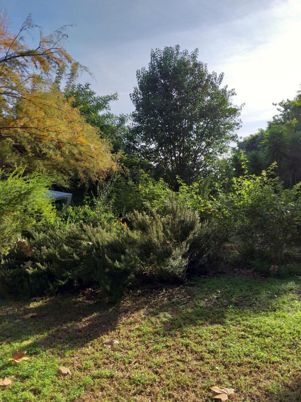 Quinta Da Moura Casa-De-Campo Pensjonat Tavira Zewnętrze zdjęcie